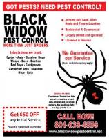 Black Widow Pest Control image 2